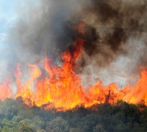 Argelia sufre el avance de incendios forestales que han dejado al menos 69 muertos