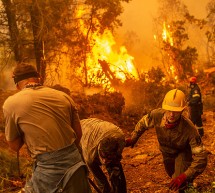 Grecia logra controlar incendios forestales que arrasaron con más de 100 mil hectáreas