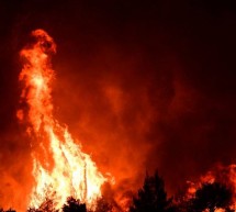 Enorme incendio devora los bosques de la isla griega de Evia