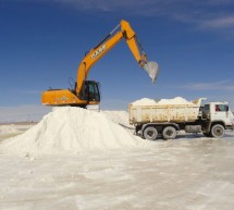 Argentina se acerca a Bolivia para industrializar el litio