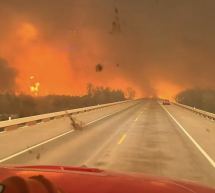 Incendios catastróficos en Texas y Oklahoma han quemado más de 1 millón de acres